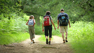 Marche et promenade en Bourgogne