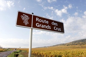 Route des grands crus séjour en Bourgogne